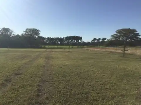 Campo en Venta Mixto