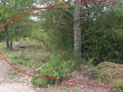 Terreno en Venta de 432,0 m2