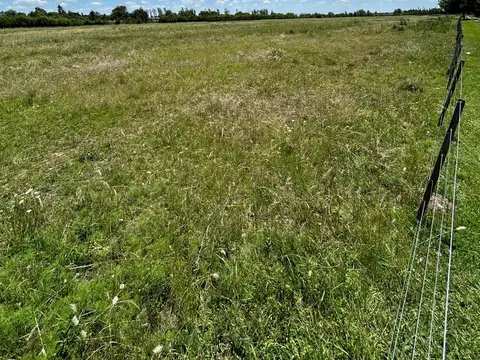 Campo en Venta de 12  ha
