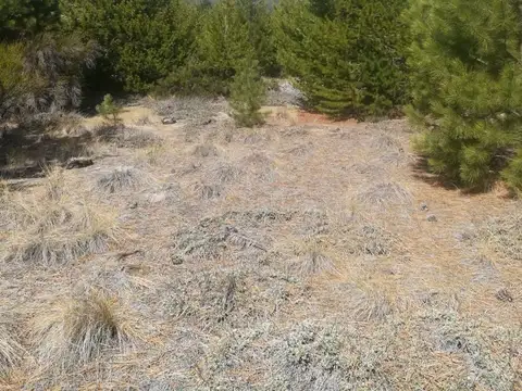 Terreno en Venta de 1223,0 m2