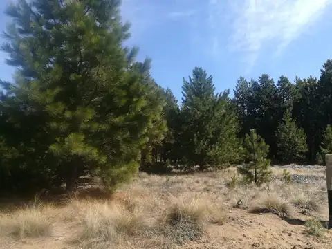 Club de Campo Dos Valles