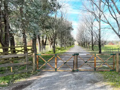Terreno en Ruta Nº 193, Capilla - Zárate