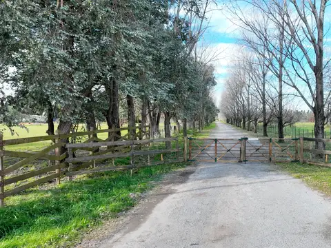 Terreno en Ruta Nº 193, Capilla - Zárate