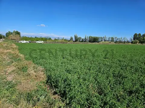 DE LOS CORREA , Piso 0