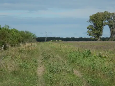 Campo en Venta con Alambrado