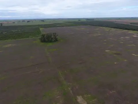 Campo en Venta de 172  ha