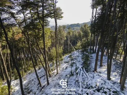 Terreno en Venta de 2291,0 m2