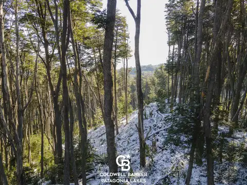 VENTA - Lote/Terreno de 2291m2 con Vista al Lago sobre calle 27 - Faldeo del bayo Villa la Angostura