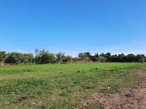 Terreno en Venta de 200000,0 m2