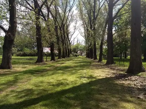Villa rosa 100