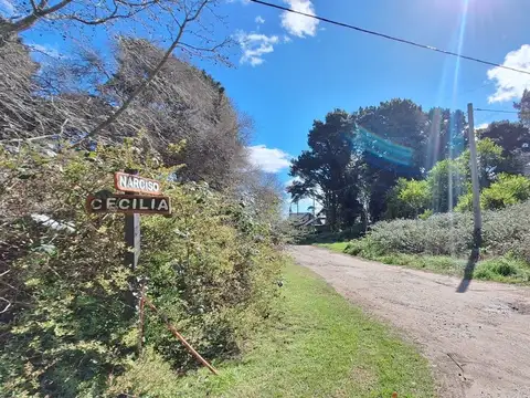 VENTA EN BLOCK DOS LOTES EN SIERRA DE LOS PADRES