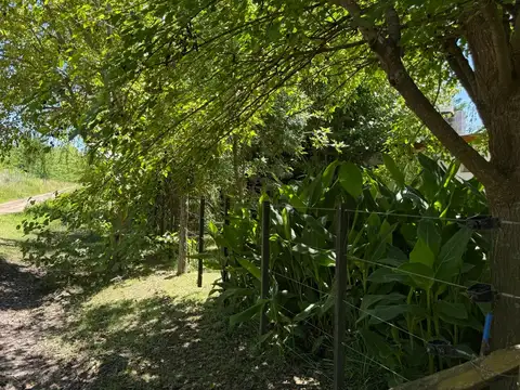 Se vende casa quinta en Bahía de Los Lobos, donde la naturaleza abraza cada amanecer!