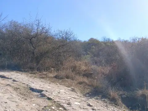 Terreno en Venta de 20000,0 m2