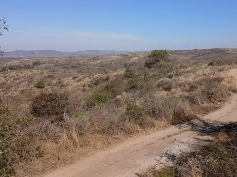 VENTA TERRENO DE 2 HECTAREAS CON VISTA A LOS GIGANTES EN CABALANGO CORDOBA
