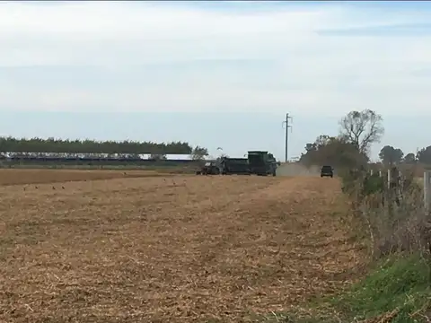 Campo en venta - 143714mts2- Saladillo