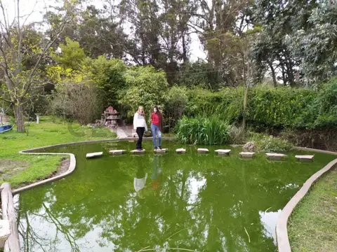 Sierra del Hacha 2000