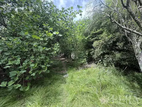 Venta casa 3 ambientes en lote de 2090 m2 en Barrio Parque Las Acacias
