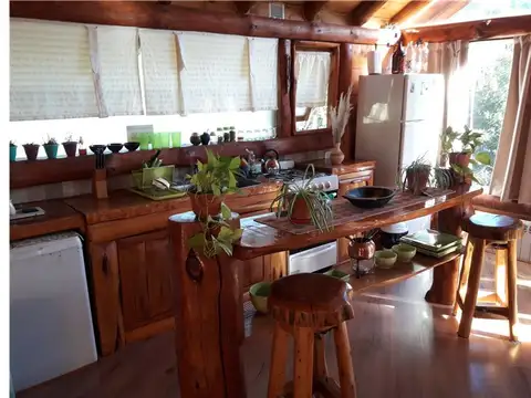 Parque nacional Arrayanes 1100