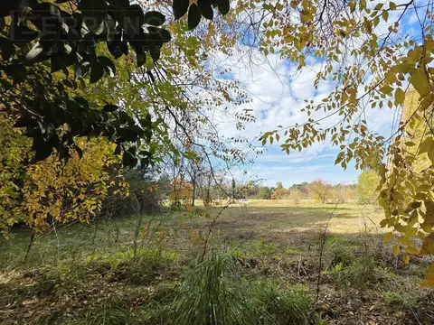LDO. Venta Terreno Arbolado 3187m2 El Remanso Exaltación de la Cruz
