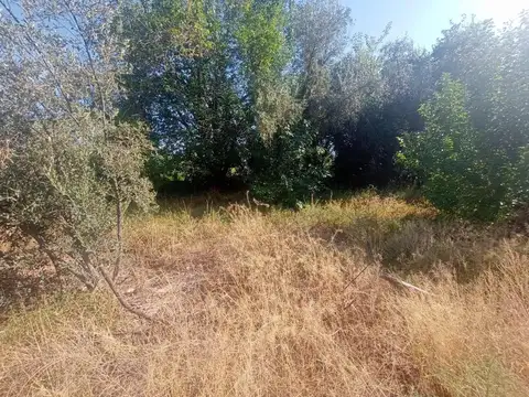 Terreno en Venta en Chacras de Coria, USD 85.000
