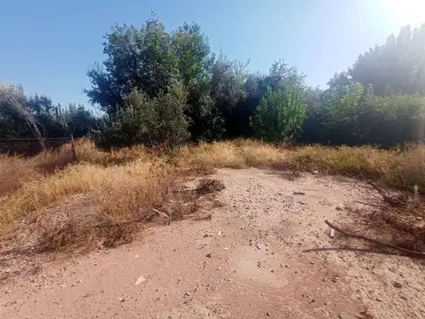 Los Aromos s/n
