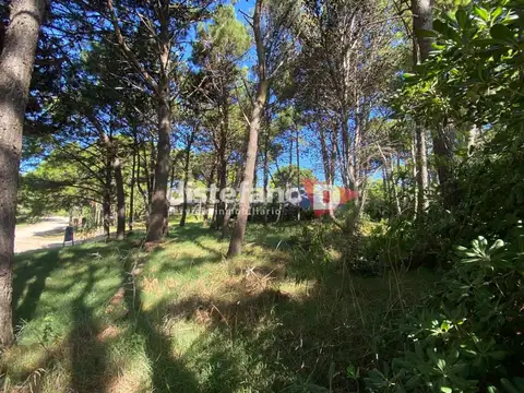 Terreno en Venta 22  mts Fondo