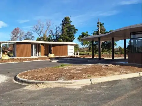 La Estela, Pilar 100