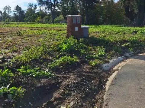 Terreno en Venta en Pilar Centro, USD 55.000