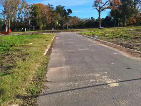 La Estela, Pilar 100