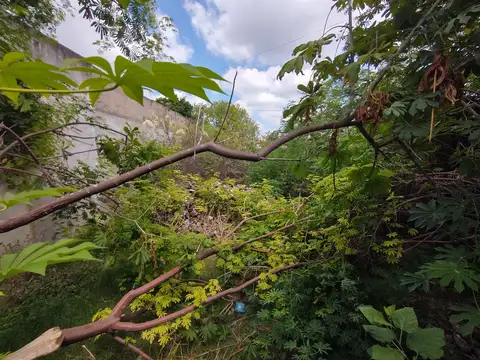 Terreno en Venta 10  mts Frente