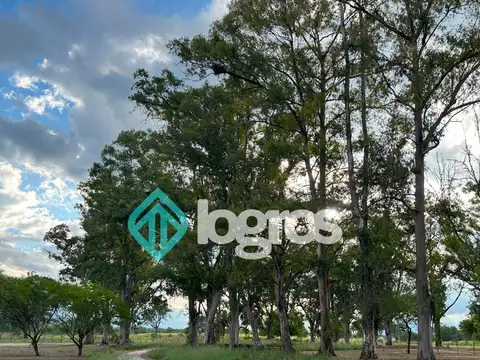 Terreno en Venta 10  mts Fondo