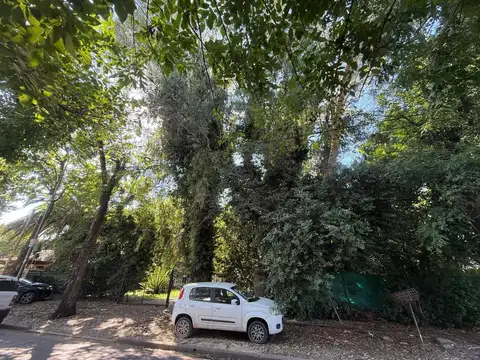 495 e/Belgrano y 21 2600