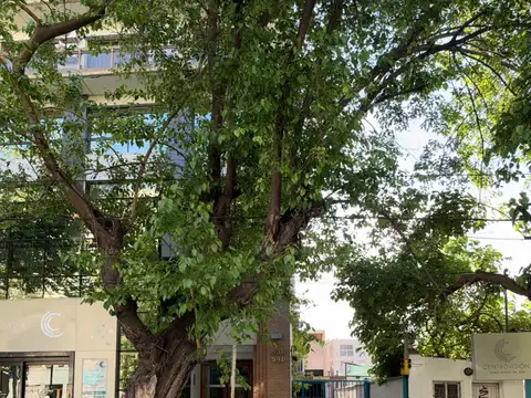 Avenida Bartolomé Mitre 500