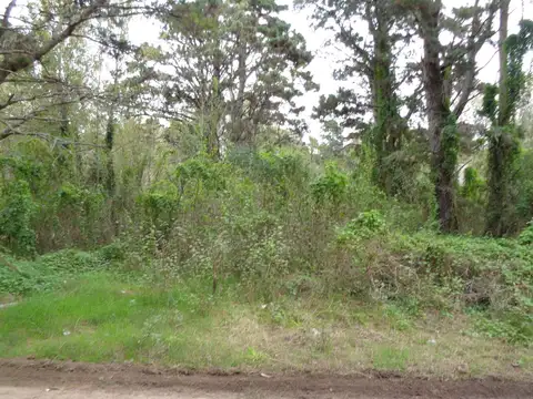 Lote Unifamiliar (L138)