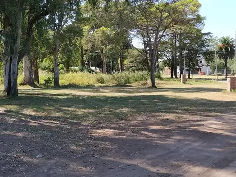 Terreno - El Bosque - Pueblo Esther