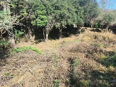 SALSIPUEDES, PARANA Y AVENIDA ESPAÑA 100