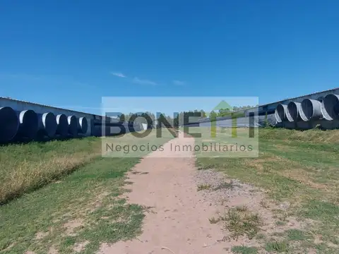Destacada granja avícola especializada en la producción de 140.000 pollos parrilleros