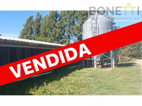 Destacada granja avícola especializada en la producción de 140.000 pollos parrilleros