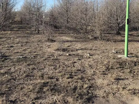 Terreno en Venta en Cinco Saltos, General Roca