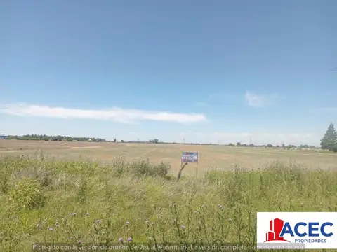 Venta - Campo- Alvear