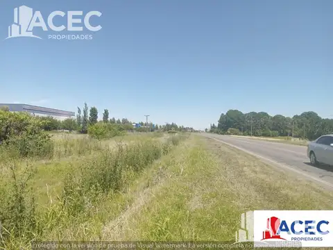 Venta - Campo- Alvear