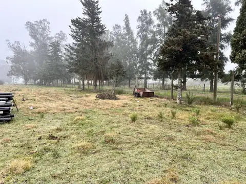 Galpon en Venta 10  mts Frente