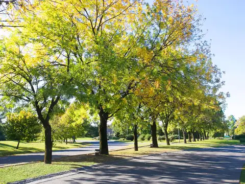 Ayres de Pilar