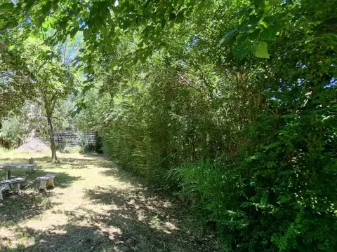 Los Gladiolos entre Las Azucenas y Los Malvones