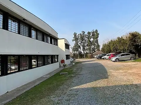 Martín fierro 980