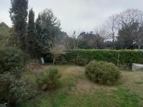Hugo 281