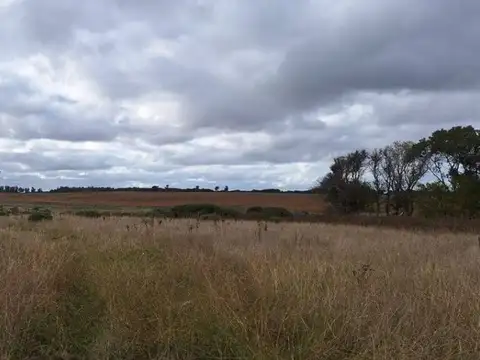 VENTA LOTE DE 1.002 m² EN CHAPADMALAL