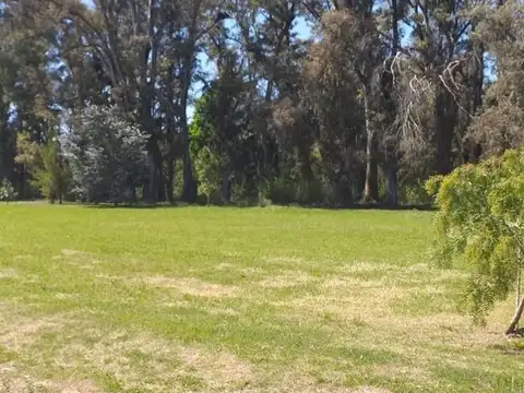 Terreno en Venta de 2000,0 m2