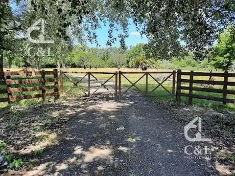 Benquerencia Farm Club al 318