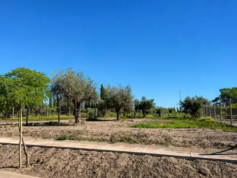 Terreno en Venta en Calle Terrada, USD 19.900